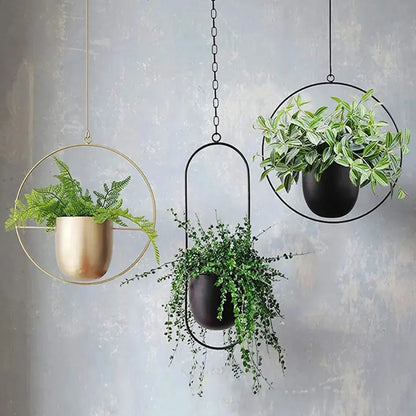 Elegant Floating Indoor Planter