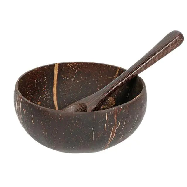 Coconut Shell Bowl