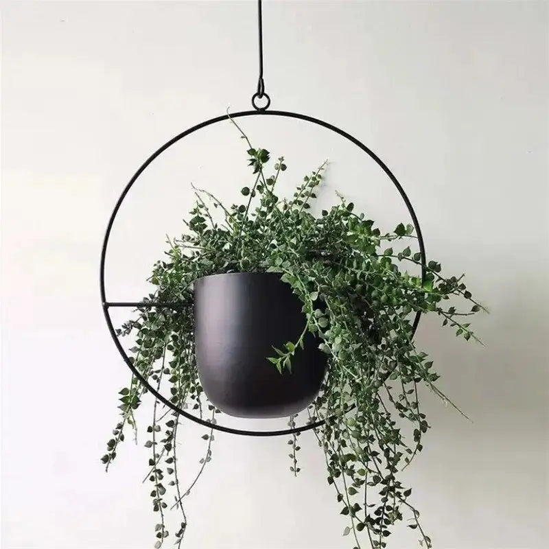 Elegant Floating Indoor Planter