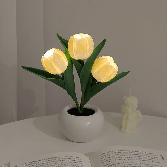 Bonsai Nightlight Tulips - Pure Daily Needs