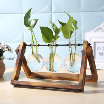 Glass and wood planter - Pure Daily Needs