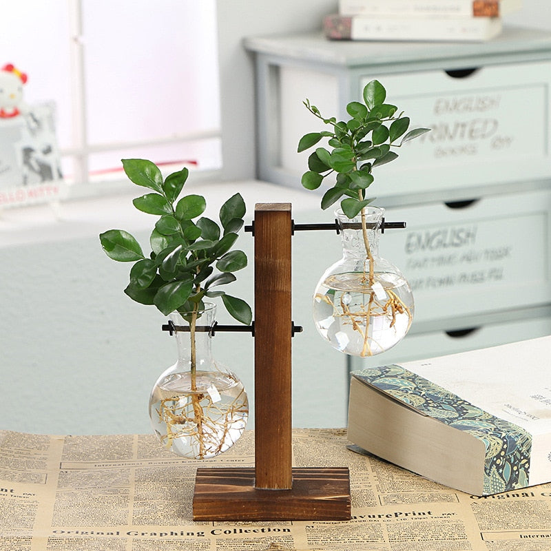 Plant vase - Pure Daily Needs