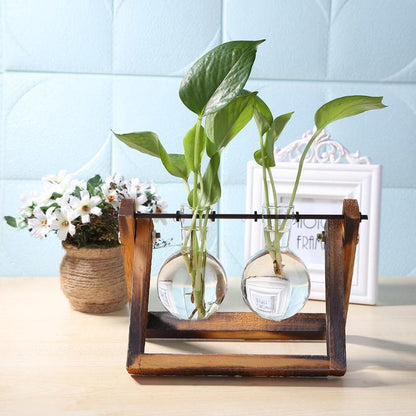 Glass and wood planter - Pure Daily Needs