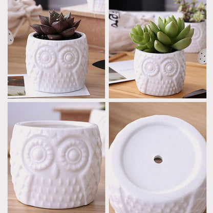 Bamboo plant pot - Pure Daily Needs