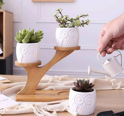 Bamboo plant pot - Pure Daily Needs