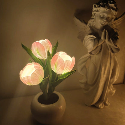 Bonsai Nightlight Tulips - Pure Daily Needs