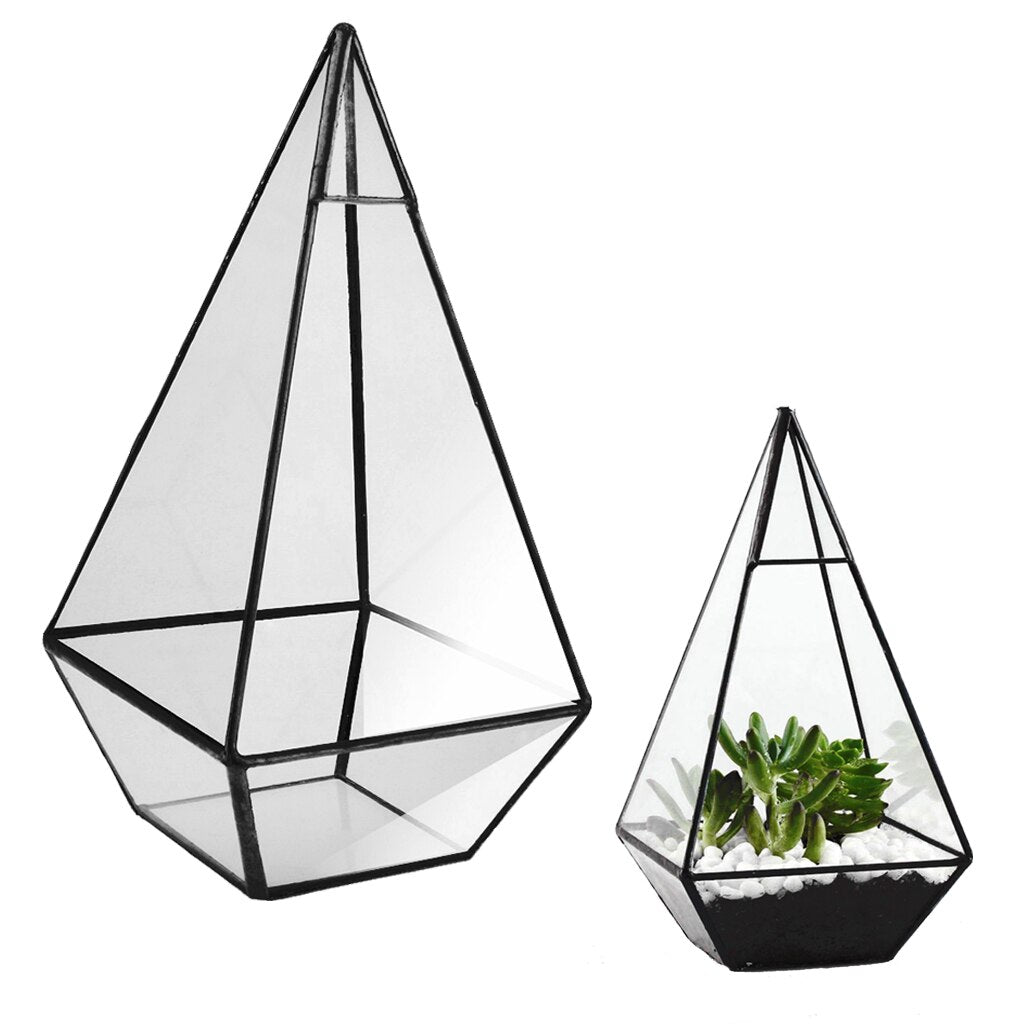 Glass terrarium - Pure Daily Needs